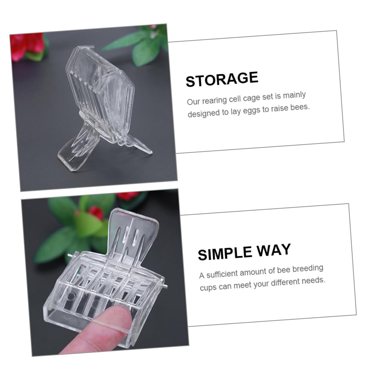 SOIMISS 5 Set Gabbia Arnia Forniture Per Apicoltura Gabbia Per Allevamento Apicoltura Clip Per Apicoltura Attrezzatura Per Apicoltore Strumento Clip Per Regina Delle Api 6 pezzi*5