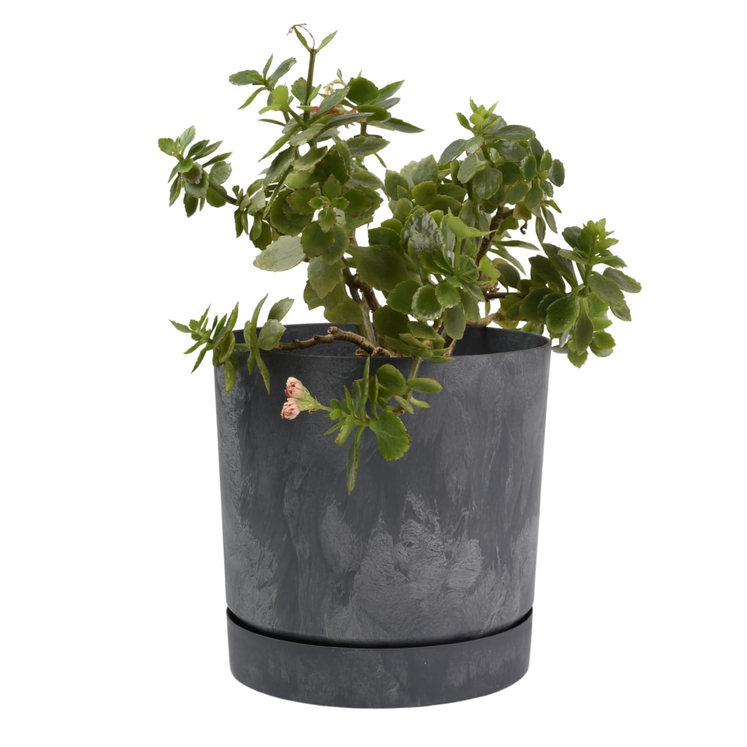 B2c Marengo Plant Pots Indoor Outdoor Plastic Marble Concrete Flowerpot Small Medium Large Tubo 5 Colours (20 Cm, )