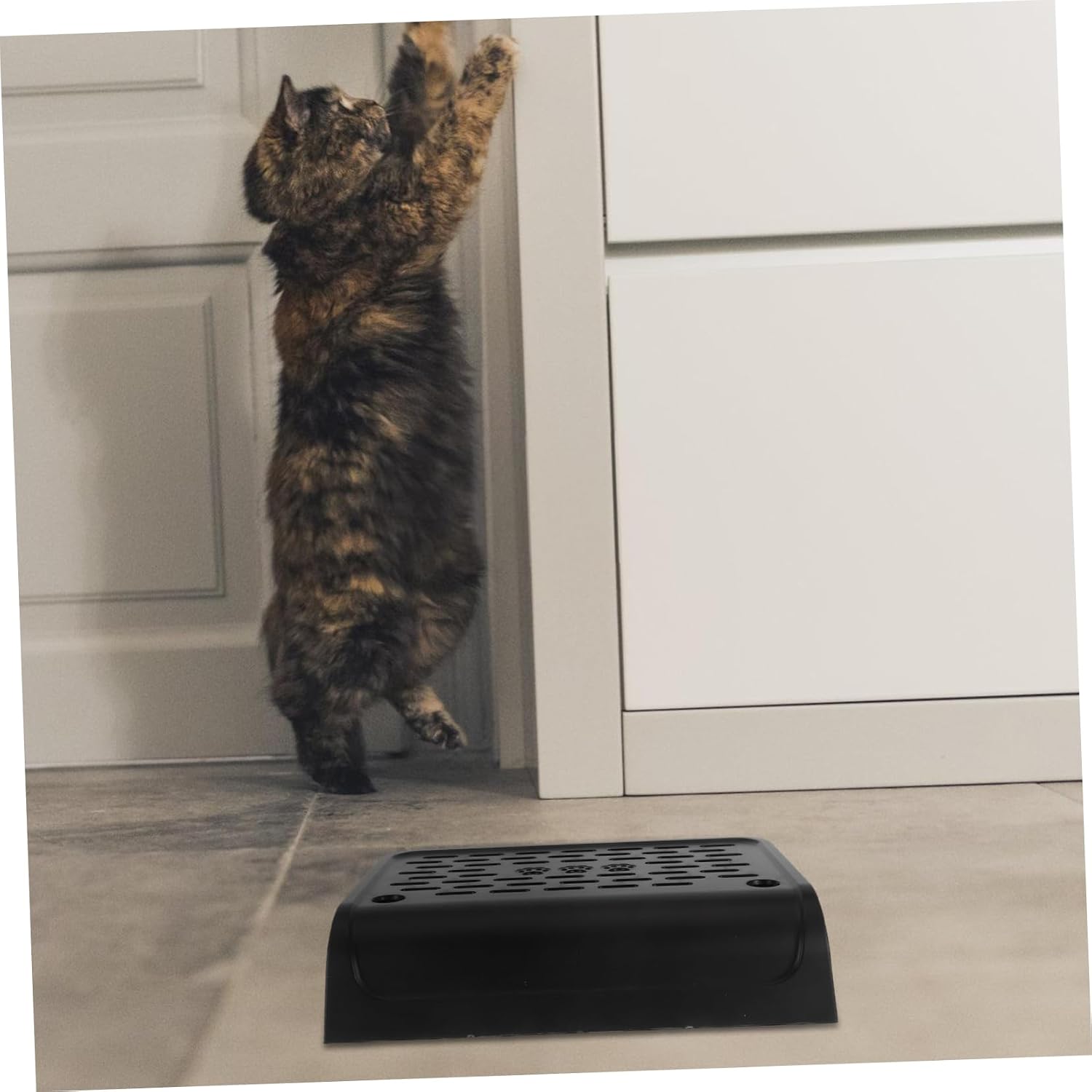 BESTonZON Elevated Plastic Cat Litter Ramp with Filter Function Lightweight and Portable Step Stool for Easy Access for Small and Cats Durable and Easy to Litter Trapper Mat