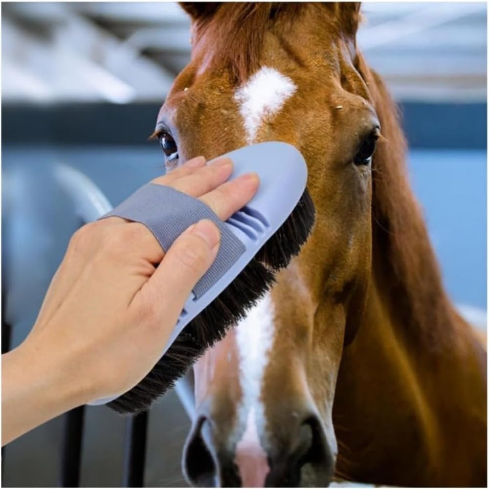 馬を飼うための完全ガイド　改訂版　飼育　管理　馬装具　手入れ　厩舎　掃除　病気 Amazon.co.jp: Neboka 馬用ブラシ、馬具用品、馬の手入れ用品、洗浄