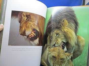 NGORONGORO (ンゴロンゴロ) ラインハルト 　アフリカ　写真集　洋書 NGORONGORO (ンゴロンゴロ) ラインハルト アフリカ 写真集 洋書