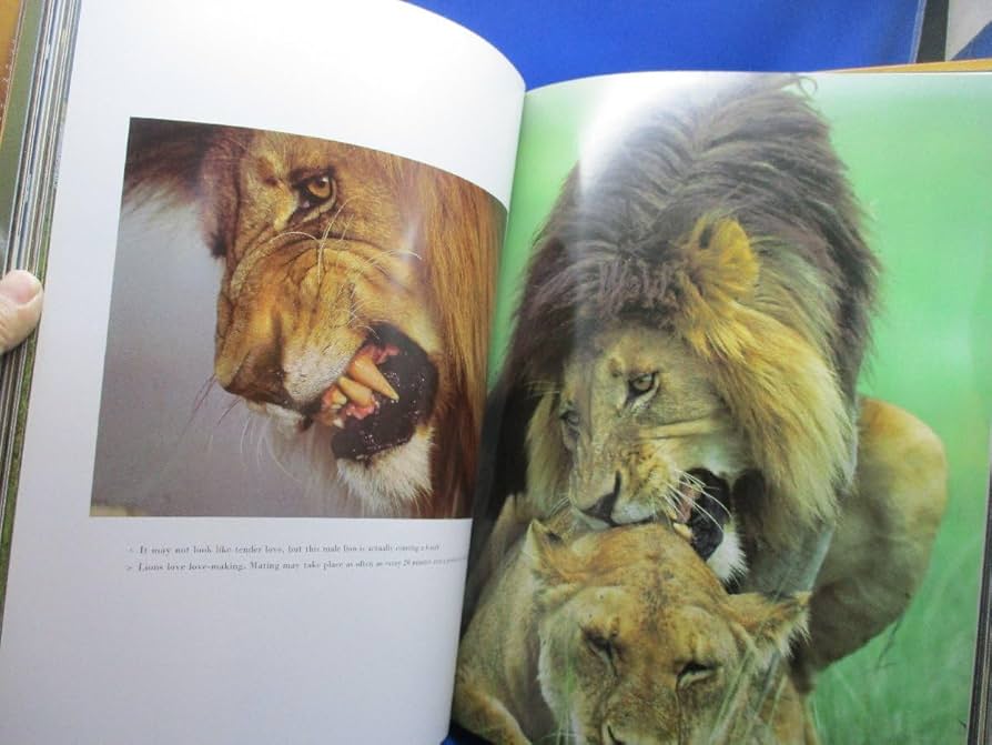 NGORONGORO (ンゴロンゴロ) ラインハルト アフリカ 写真集 洋書