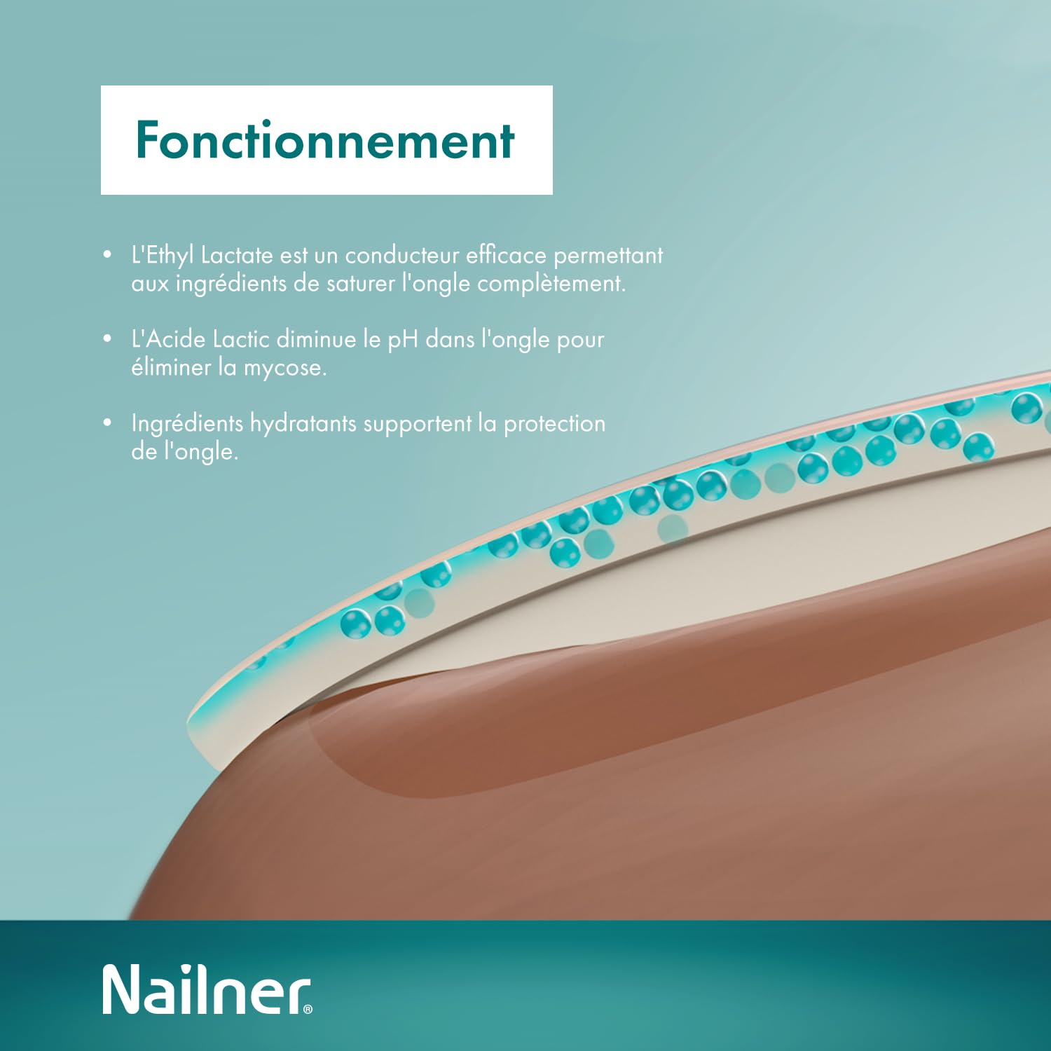 Nailner Stylo 2 en 1contre infections fongiques des ongles 4 ml - Stylo antifongique contre les mycose des ongles des mains et pieds - Résultats en 7 jours - Prévient mycoses des ongles sans limage