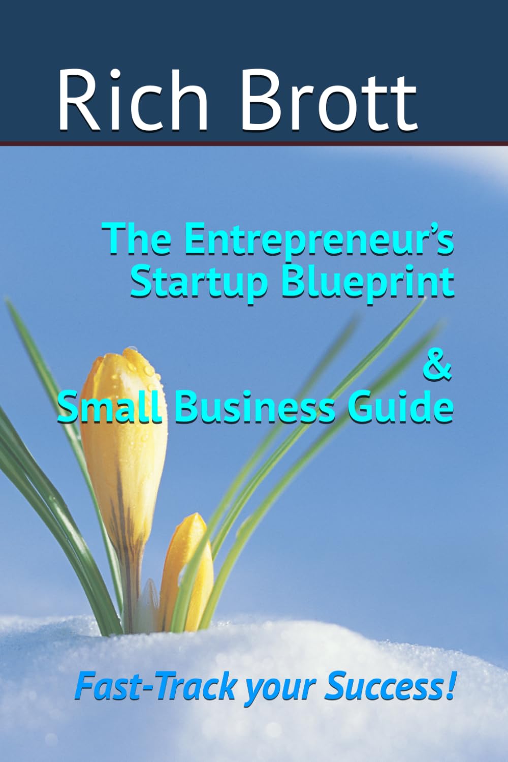 The Entrepreneur’s Startup Blueprint & Small Business Guide: Fast-Track your Success!