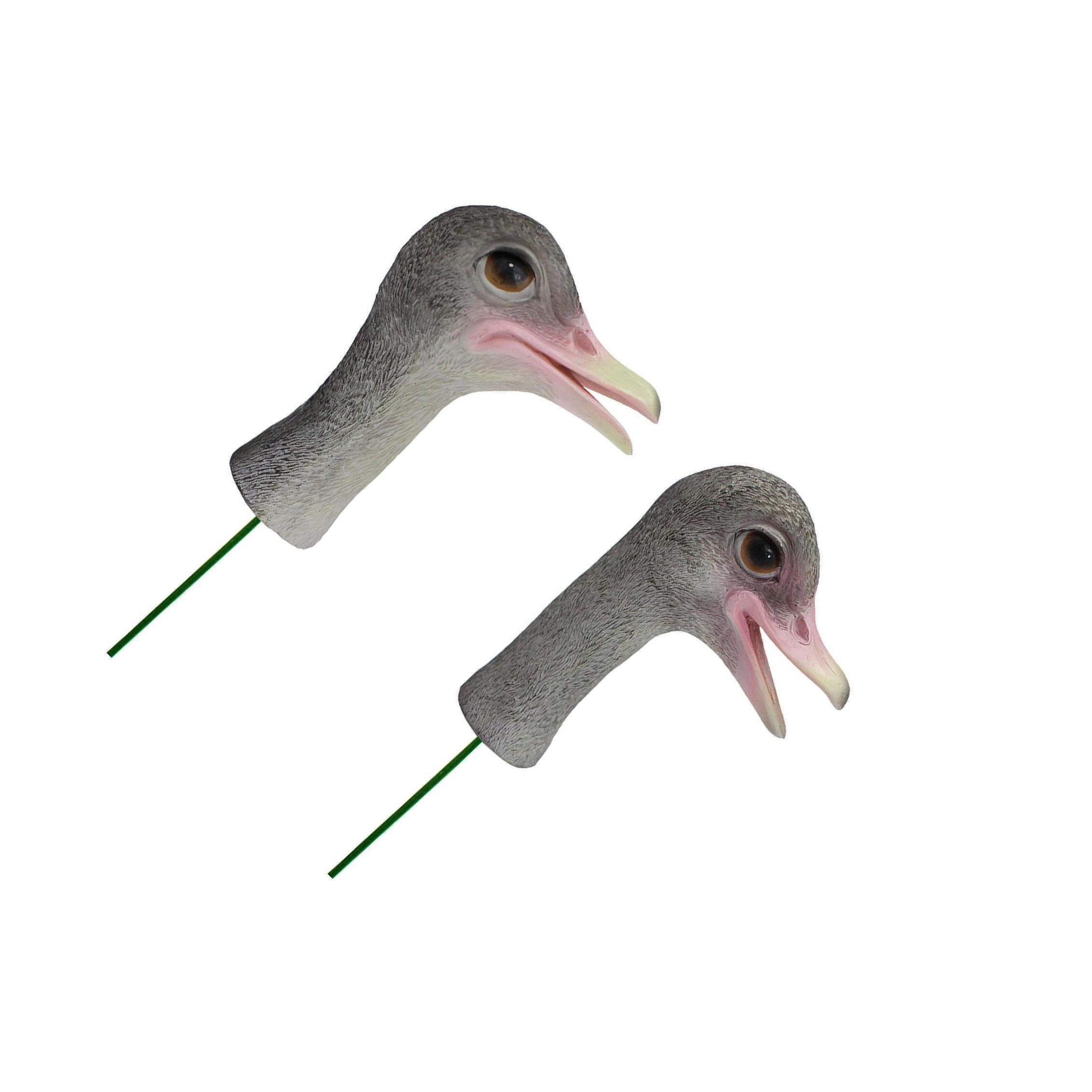 Quxvuis Bird Decorative Stakes Sculpture Attractive Yard Ornament For Backyard And Office Ostrich Head Garden Stakes Will Attract Everyones Attention Which