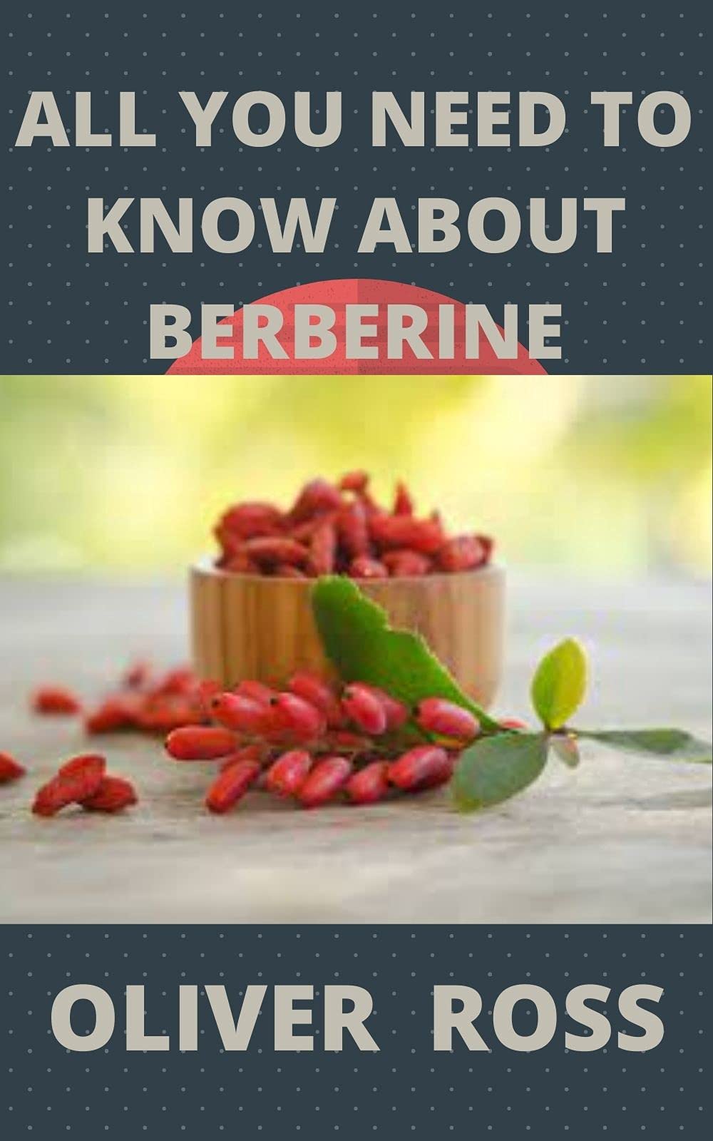 everything you need to know about listcrawler in orlando: a guide to the city's best service and nightlife