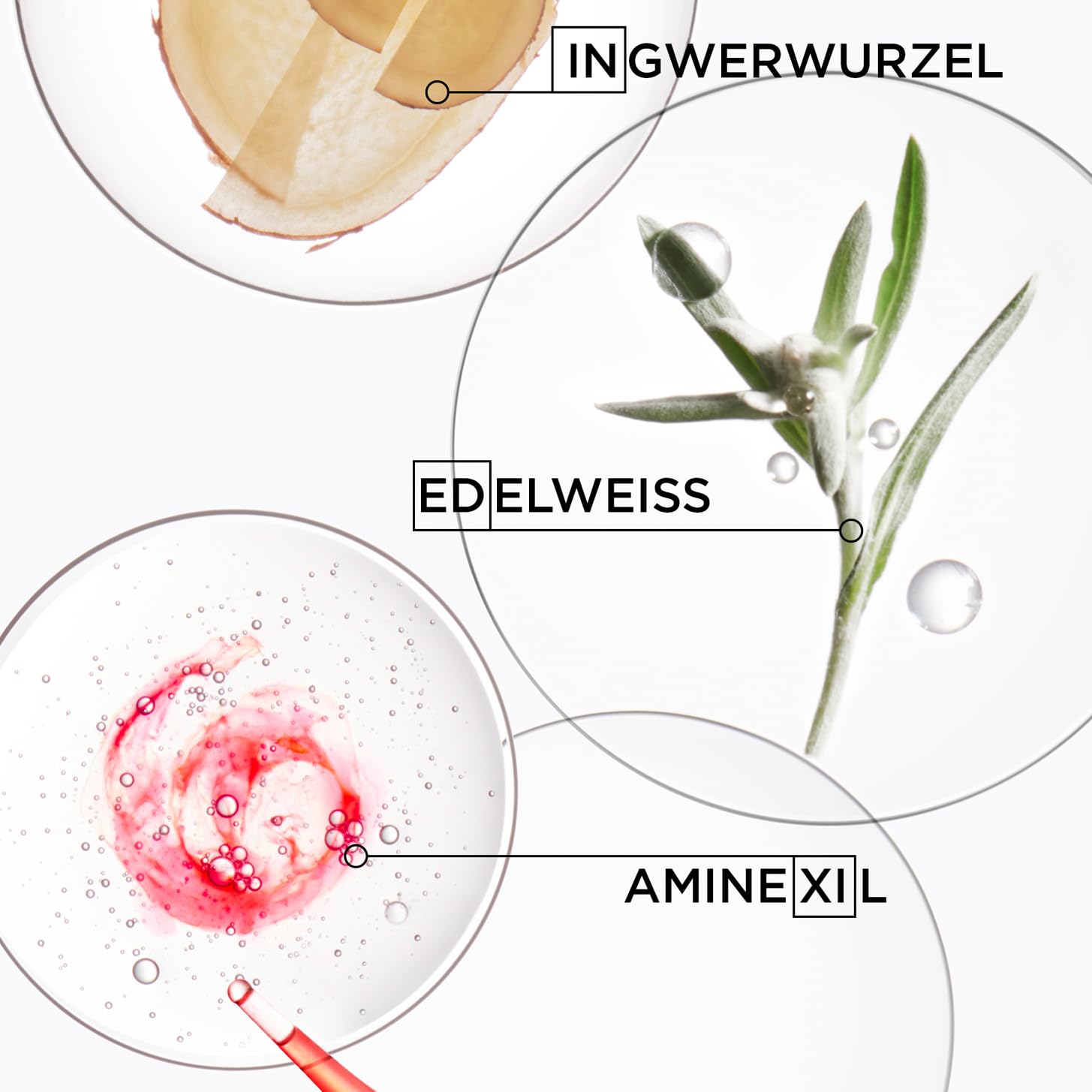 Kérastase, Genesis, Pflegeroutine mit Shampoo (Normalgröße und gratis Probiergröße 80ml) und stärkende Haarkur, Für feines und brüchiges Haar, Gegen Haarverlust und Haarbruch