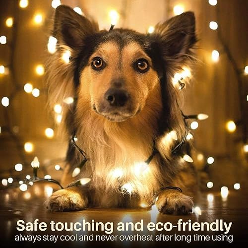 Vista 44 de Luces de Navidad Asenek Blanco cálido