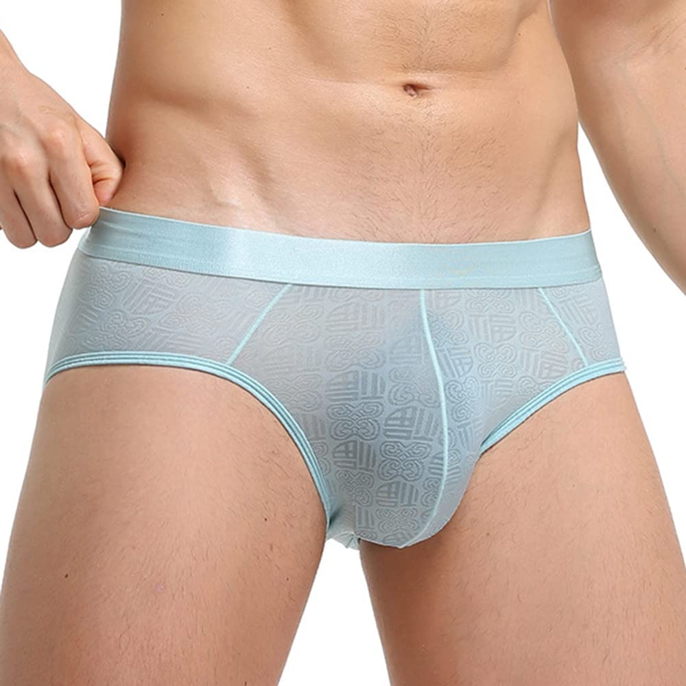 sdfpjsdfpj 2pcs Soft Comfortable Underwear Ice Silk Sheer Transparent Mesh Men's Briefs Printed Shorts (Color : Light blue, Size : L)