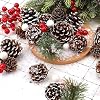 hatisan 115Pcs Christmas Pine Cones Berry Pine Branch Set White Christmas Decorations for DIY Crafts Home Xmas Tree Gift Party Supplies, Assorted Sizes #3