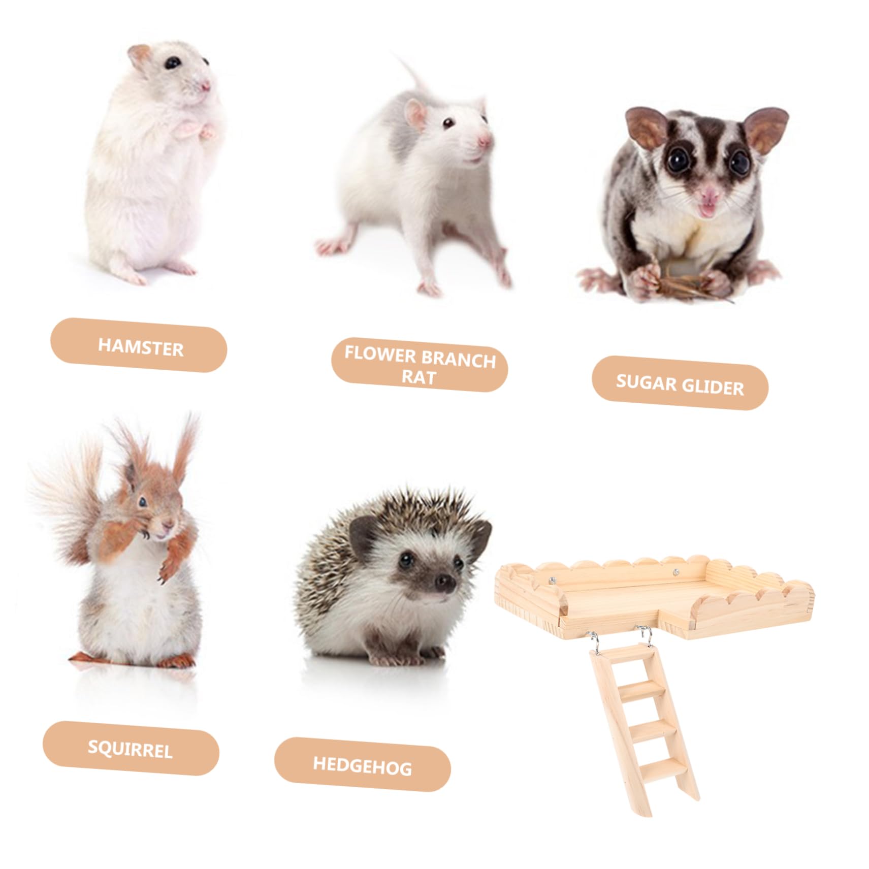 TOYANDONA Hamsterplattform Aus Hamsterspielbrett Als Nestgestaltung Leiter Für Spielmöglichkeiten Spielzeug Für Käfigzubehör Robustes Meerschweinchenaccessoire