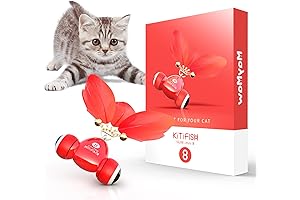 MayMaw Rechargeable Cat Toy — Interactive Catch Dispensing Toy