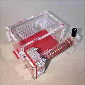 KXCR Ant Farm Test Tube Ant Nest,with Feeding Area Box Small Ant Farm Acryl, Ant Villa Pet Mania Anthill Workshop Ants House Color C