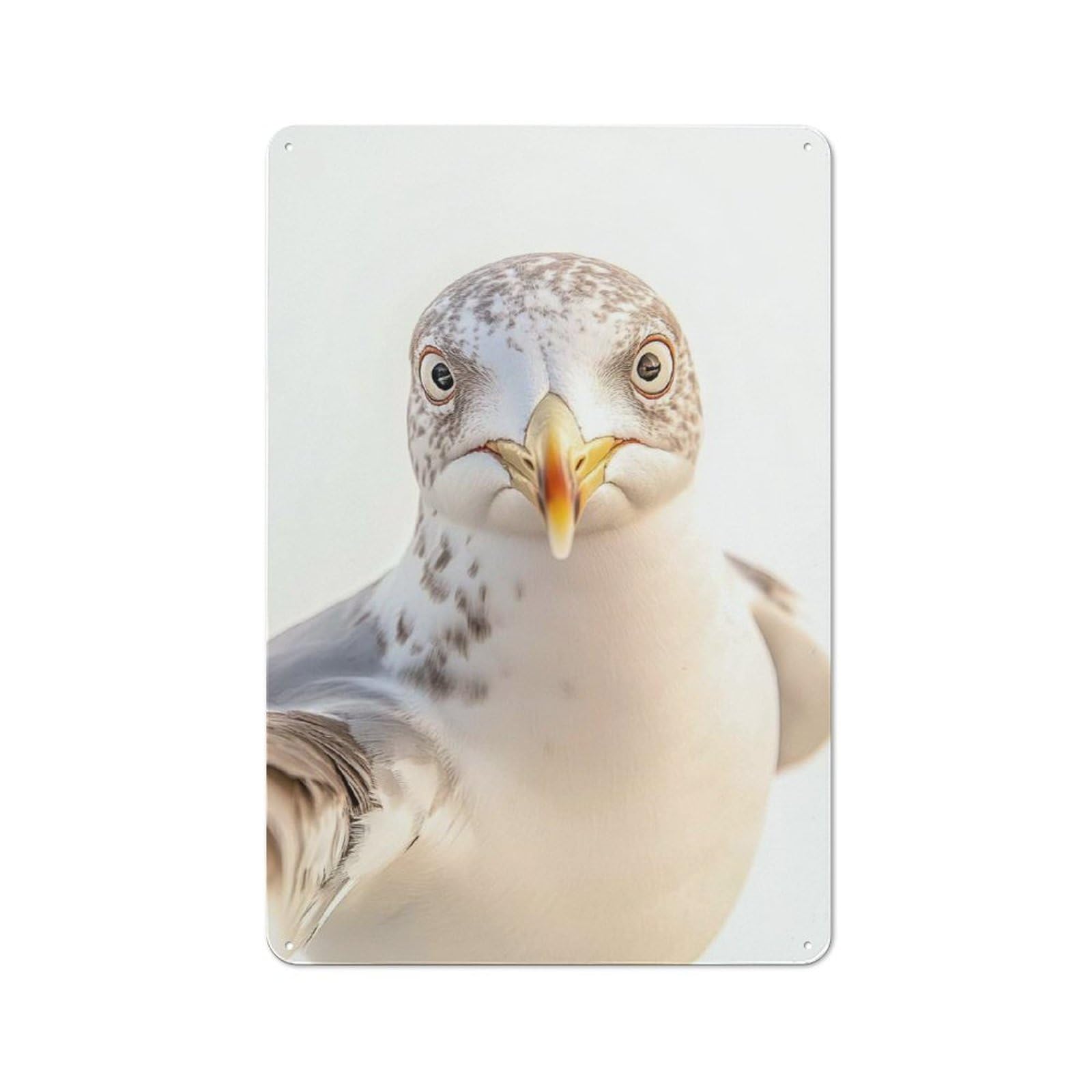 Junmoney Seagull Selfie For Café Or Restaurant, Vintage Metal Sign 30X20cm, For Vintage Wall Decor Fans, For Cafés, Pubs And Restaurants