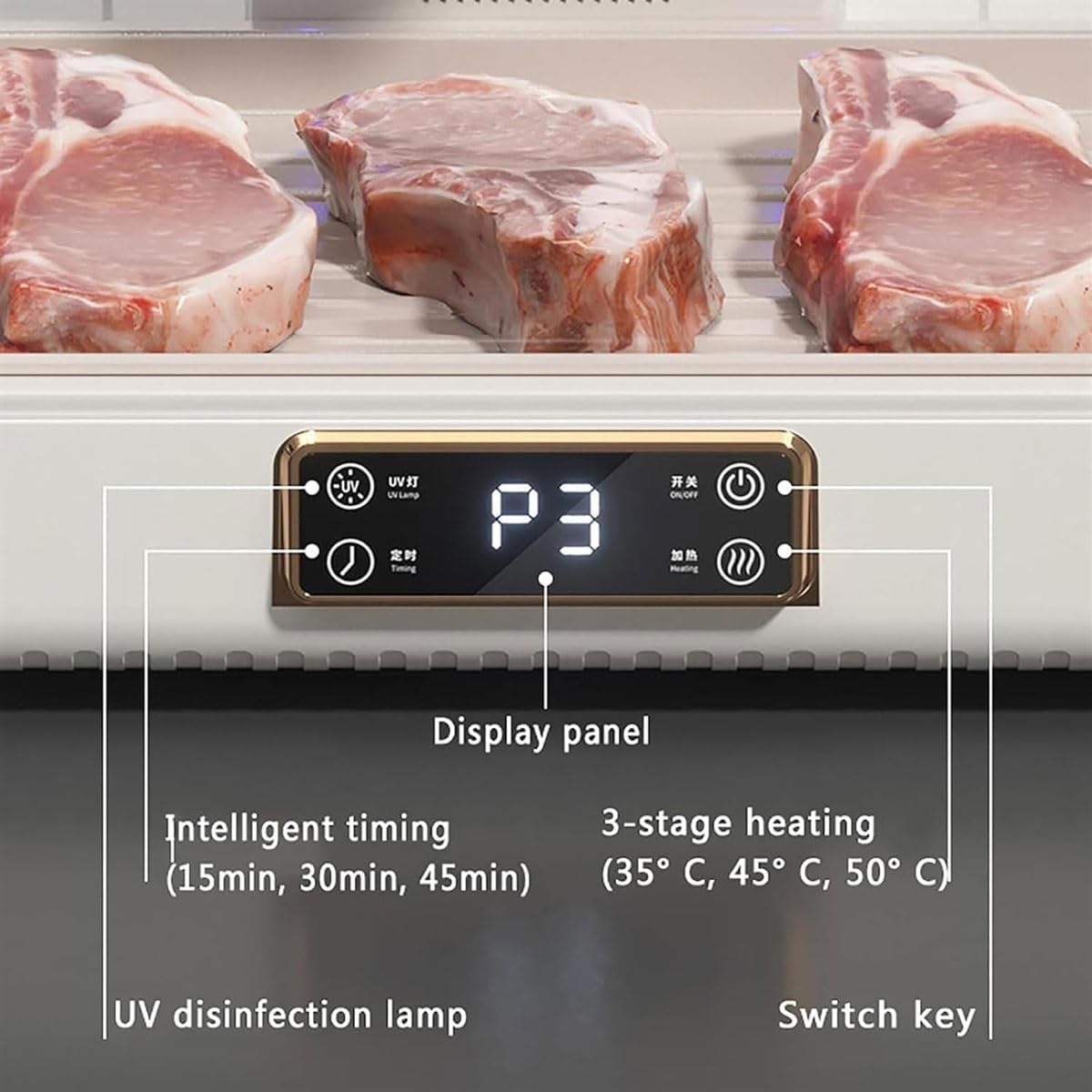 Tagliere elettrico per scongelare la carne da 8 litri, con regolazione a 3 velocità, ciclo di calore a 360°, temperatura costante per scongelare rapidamente gli alimenti surgelati a casa