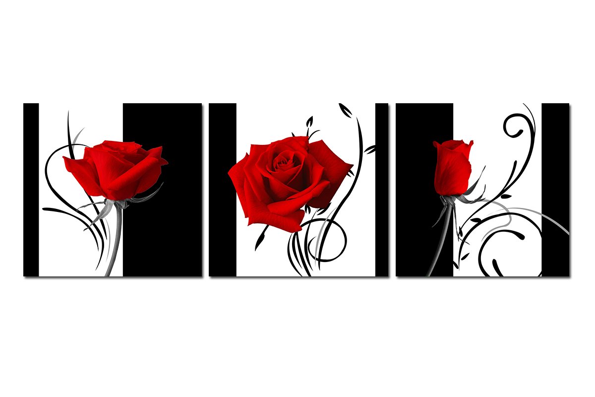 Floral Spirit Up Art Abstract Art in Black White Red Decorative Wall Decorative Canvas Print Set of 3 (with Framed)