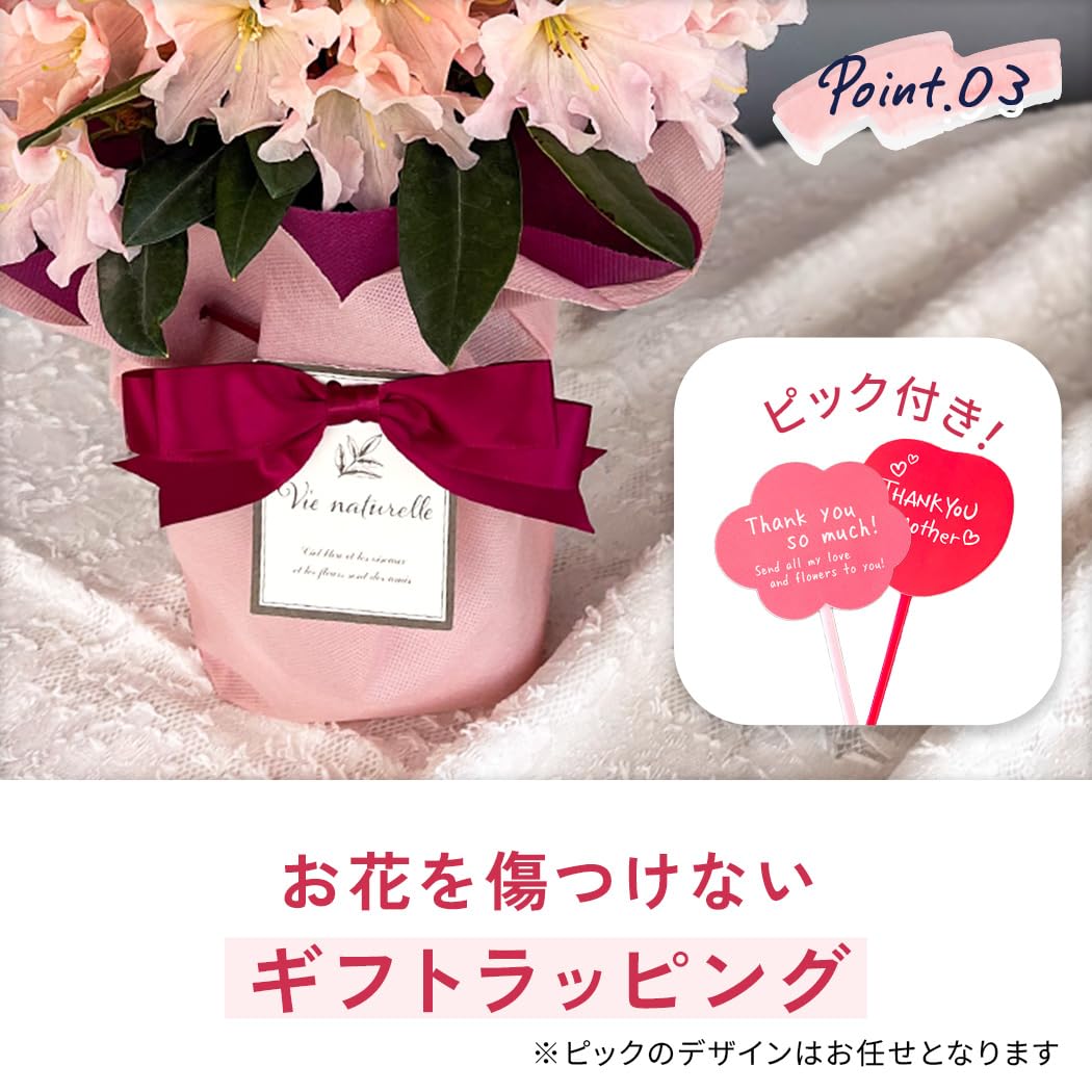 豪華Present 付き　♡ピンクアメジスト タケノコ お花♡ 6ca0246bde546ea38118253d7f38f9