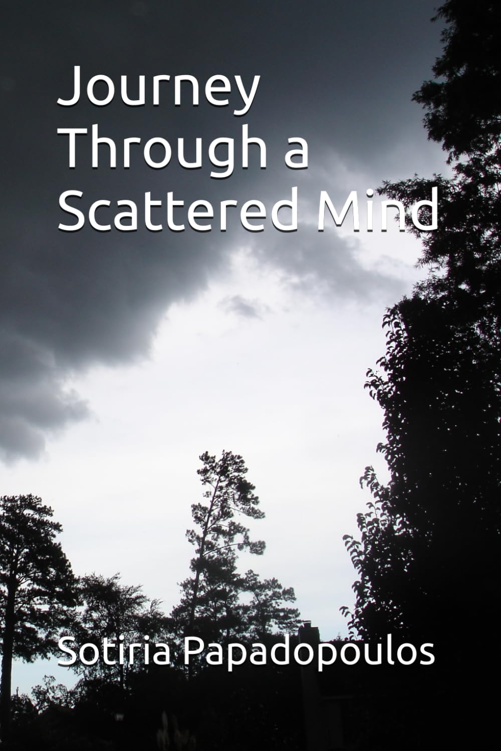 Journey Through a Scattered Mind: Poetic Journal