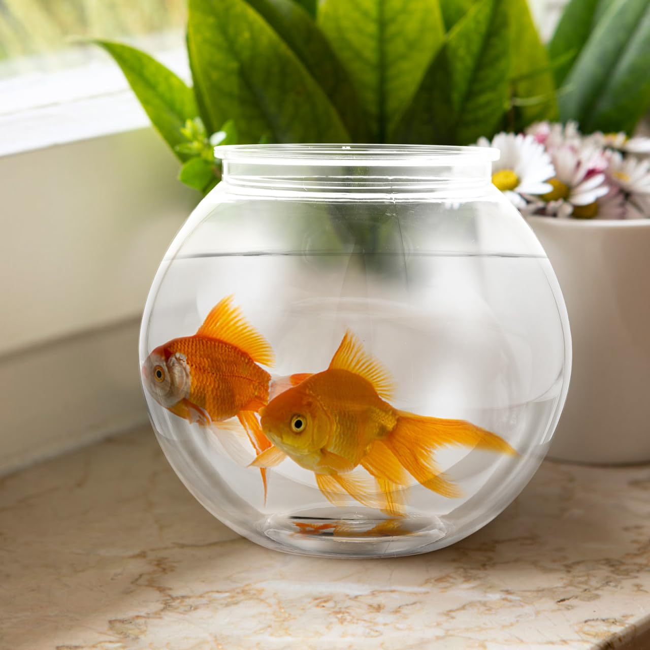 Balacoo Petit aquarium en plastique transparent pour poissons rouges