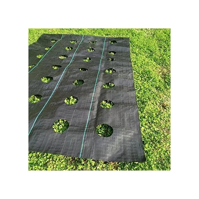 Buy Toyfun 2Pack 3x12ft EasyPlant Weed Block Gardening Weed Blocker