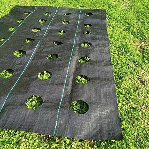 Buy Toyfun 2Pack 3x12ft Easy Weed Block Gardening Weed Blocker Barrier