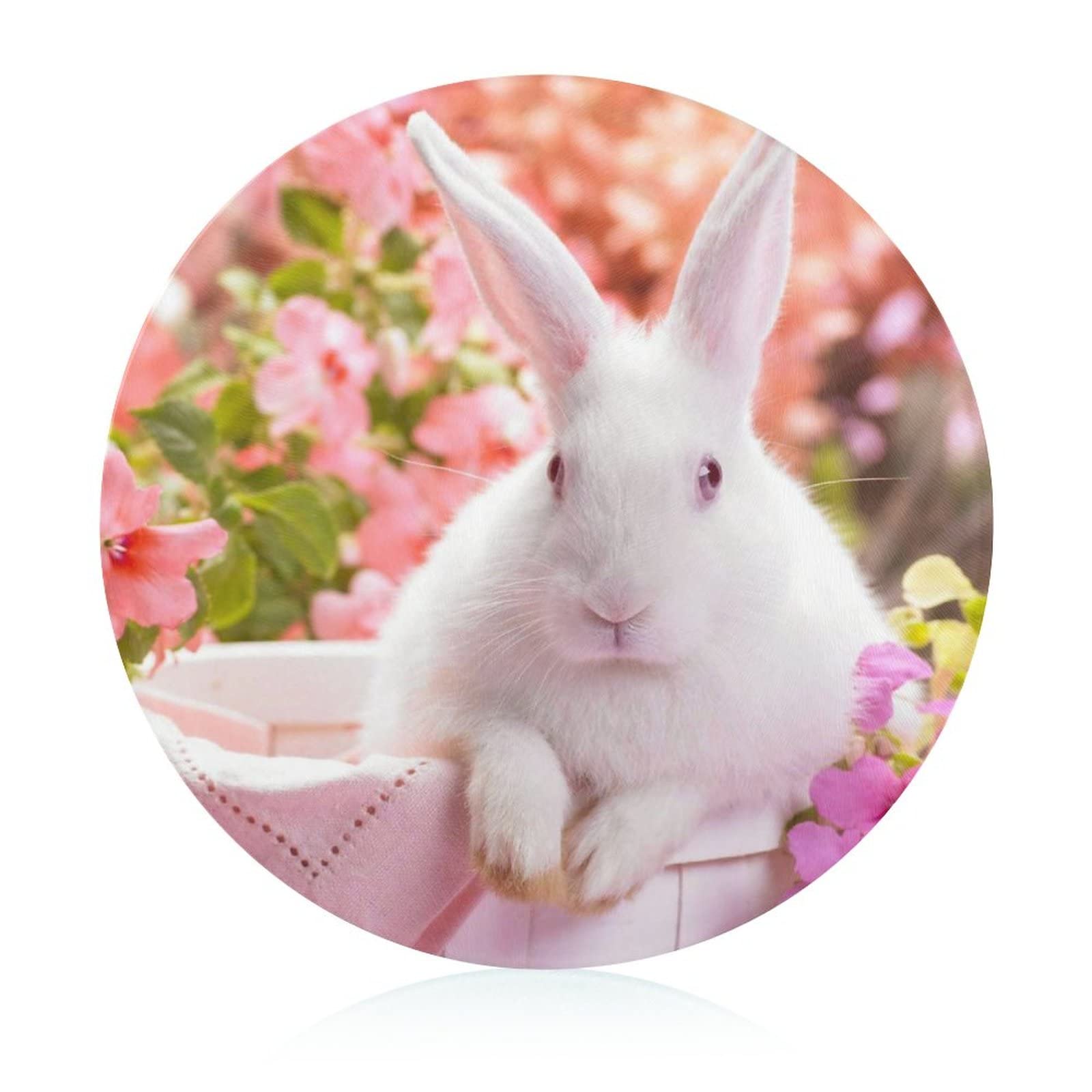 Planche de cuisine Lapin de Pâques 20 cm, cadeau idéal de fin d'année
