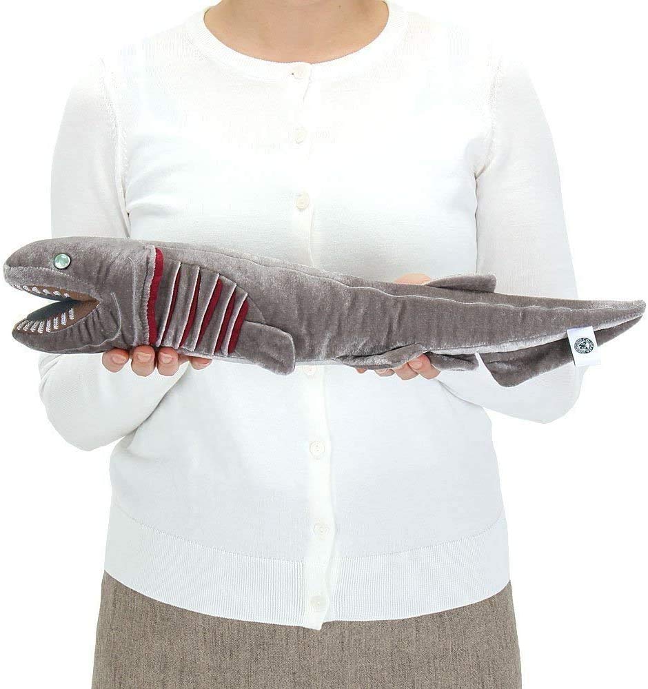カロラータ　COLORATA ぬいぐるみ ラブカ 2体セット 動物 生物 ぬいぐるみマスコット ラブカ / カロラータ