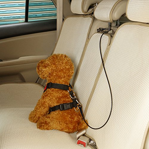 Filhome No-Chew Dog Seat Belt, Stainless Steel Cable Pet Car Seatbelt Safety Restraint Tether Puppy Vehicle Seat Belt with Buckle Latch(16 inch)