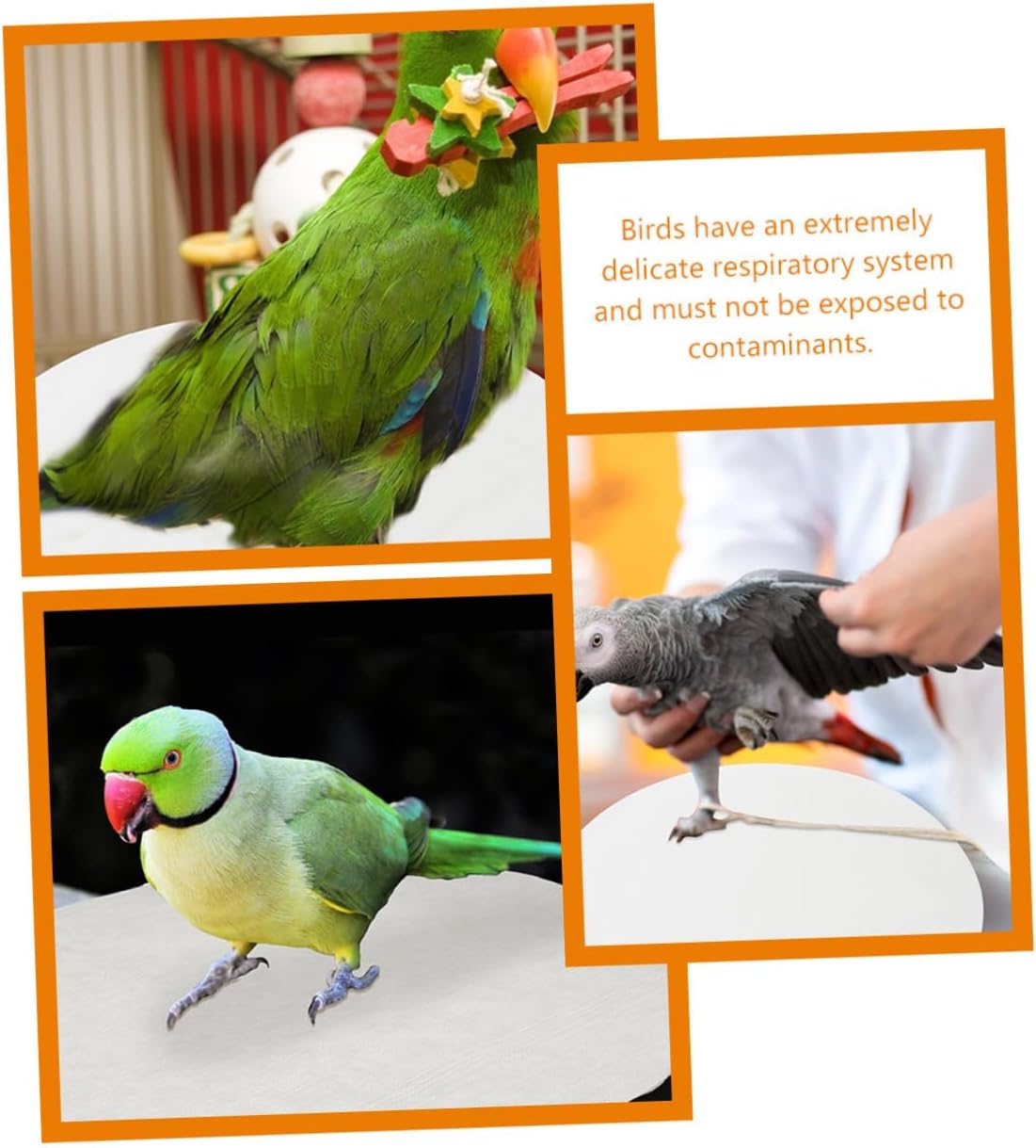 100pcs Round Bird Cage Liner Pads Absorbent Parrot Cage Pads Design for Easy Cleaning and Healthy Pet Environment