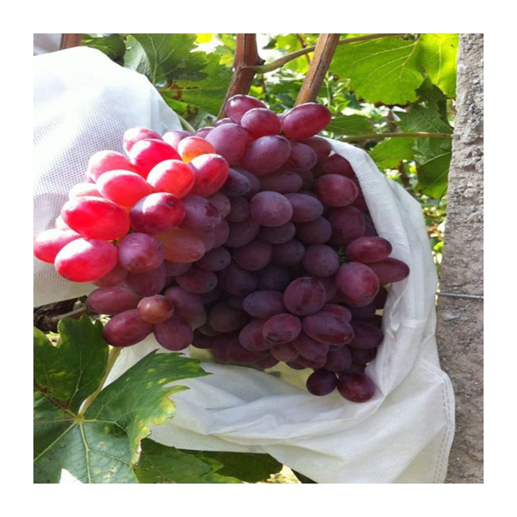 Fruit net bag, 50Pcs/Lot Garden Vegetable Grapes Bags, For Apples Fruit Protection Bag Pouch Agricultural Mesh 18×20cm