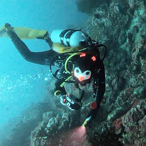 Miniatura 5 de Capucha de neopreno con orejas de gato de 0.118 pulgadas (0.118 in) para mujeres y niños, gorro de buceo, capucha térmica para surf con ventilación