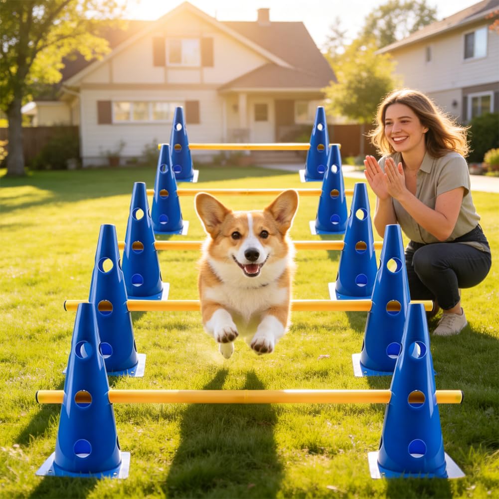 Agility - Juego de 10 conos y 5 barras de entrenamiento ajustables, juego de obstáculos para entrenamiento de coordinación, juego de obstáculos deportivos para niños, perros, deportes de equipo