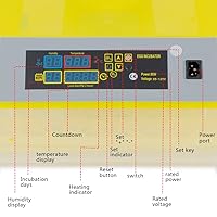 Vista 4 de CROSSDESIGN Incubadora digital automática de huevos con 48 huevos, criador de aves de corral, con control de temperatura y giro automático