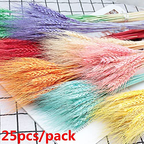 Pampas Grass Large 25PCS Flores Secas Decorativas Naturales miniatura 6