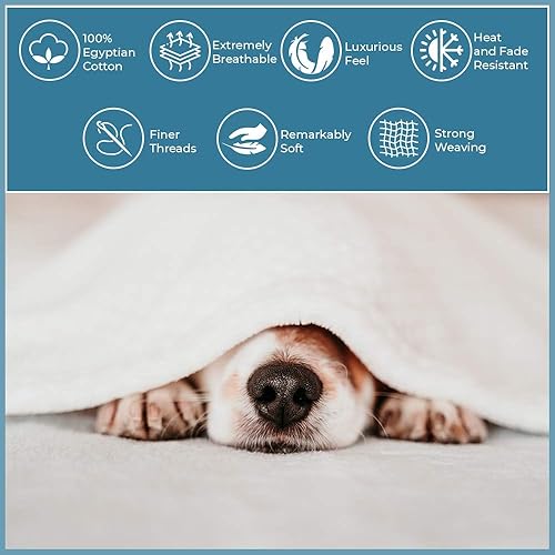 Miniatura 4 de The Bishop Cotton Sábanas de tamaño matrimonial de 800 hilos, suaves, 100% algodón egipcio, juego de ropa de cama transpirable de 4 piezas, acabado