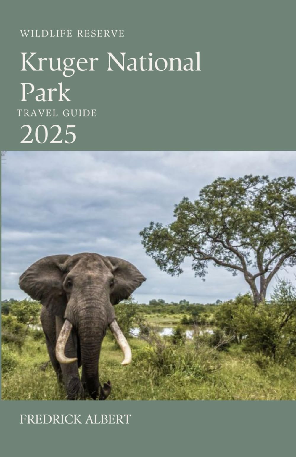 Kruger National Park Travel Guide 2025: The Ultimate 2025 Safari Companion to Exploring South Africa’s Greatest Wildlife Reserve