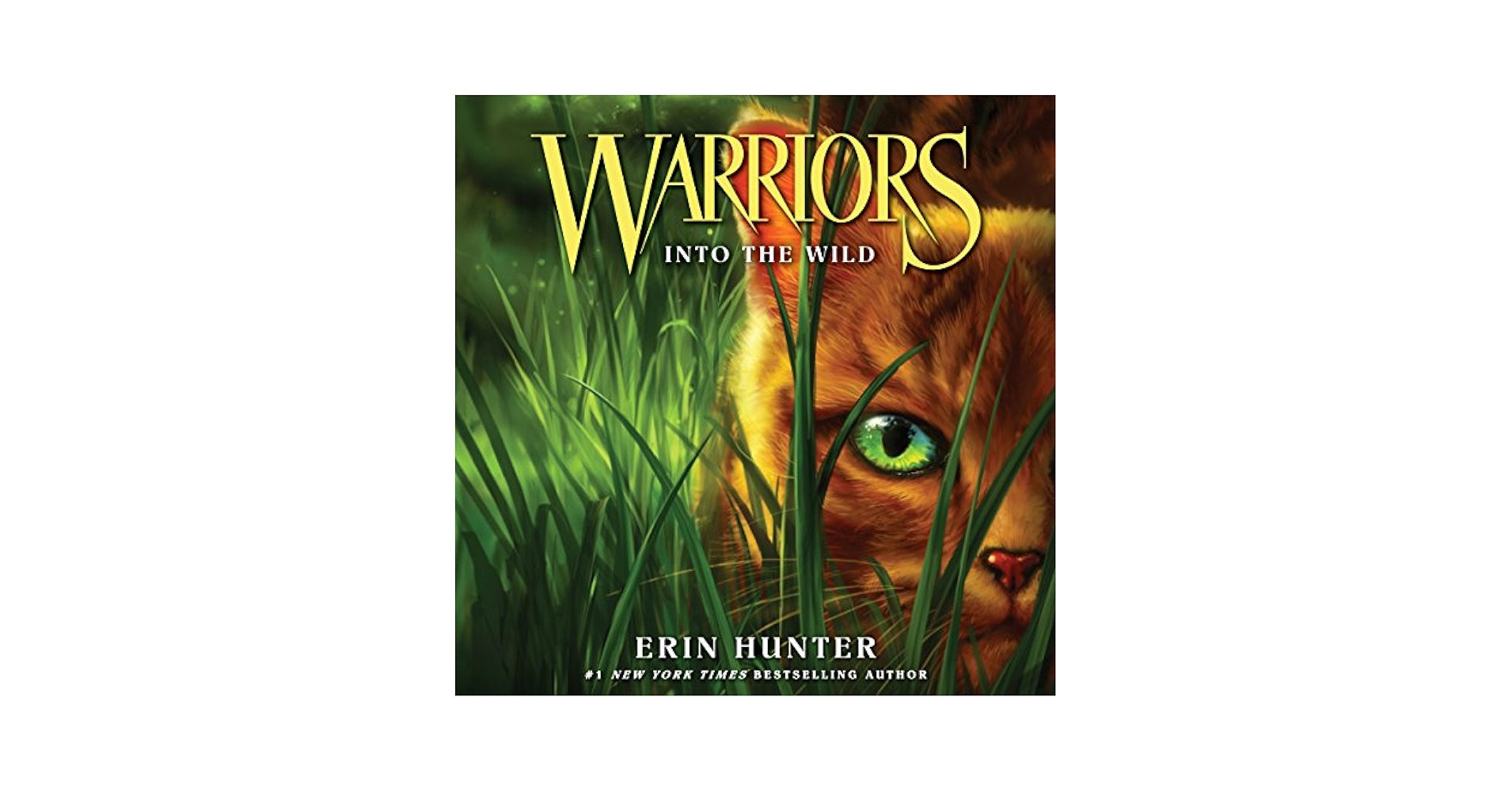 【中古】 WARRIORS #1:INTO THE WILD/HARPERCOLLINS USA/ERIN HUNTER Warriors #1: Into the Wild (Paperback) - Walmart.com