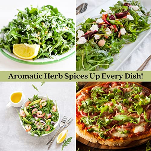 Clovers Garden Arugula Herb Plants – Two (2) Live Plants – Non-GMO - Not Seeds - Each 4\" to 8\" Tall – in 4\" Inch Pots - Peppery Herb, Easy to Grow