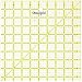 Omnigrid 9-1/2-Inch-by-9-1/2-Inch Quilter's Square