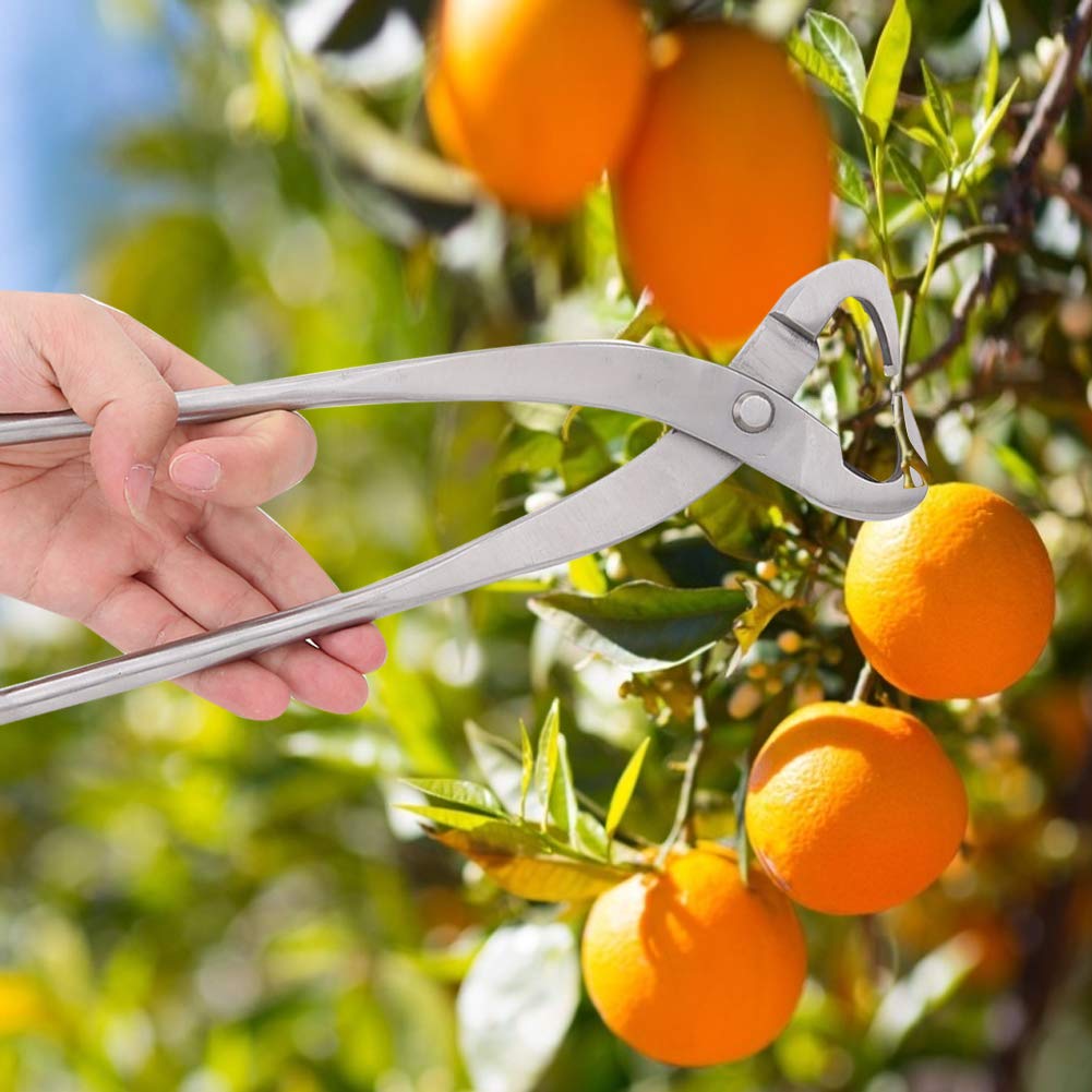 Omabeta 27cm Stainless Steel Trunk Splitter Bonsai Tools Professional Garden Branch Cutter Beginner Bonsai Tools Trunk Splitter Scissors Garden Pruning Equipment
