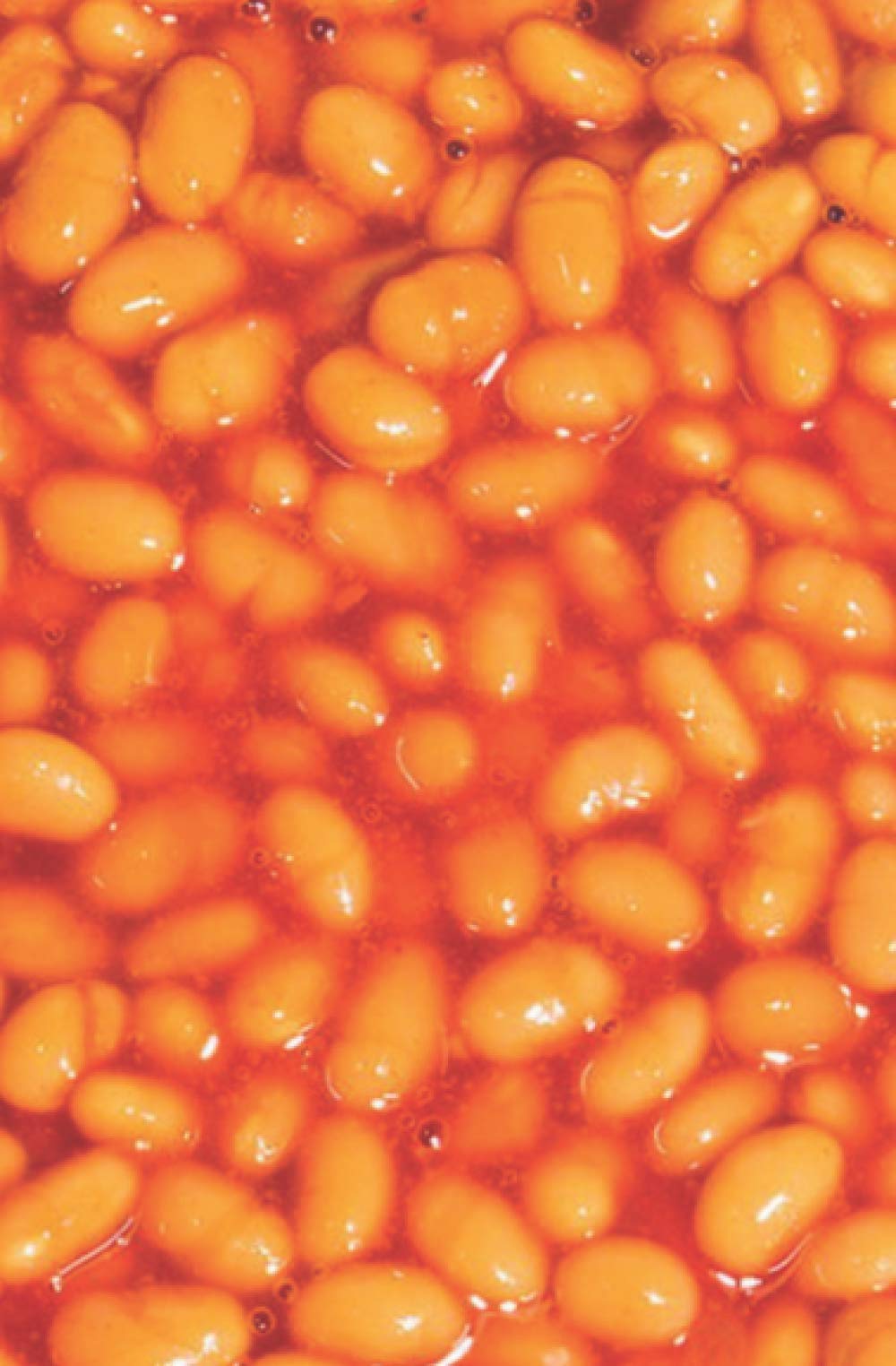 Just Beans: Cute little lined notebook / journal / diary / planner for baked bean fans