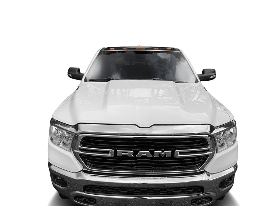 Amazon.com: Auto Ventshade [AVS] Marker Light/Cab Light