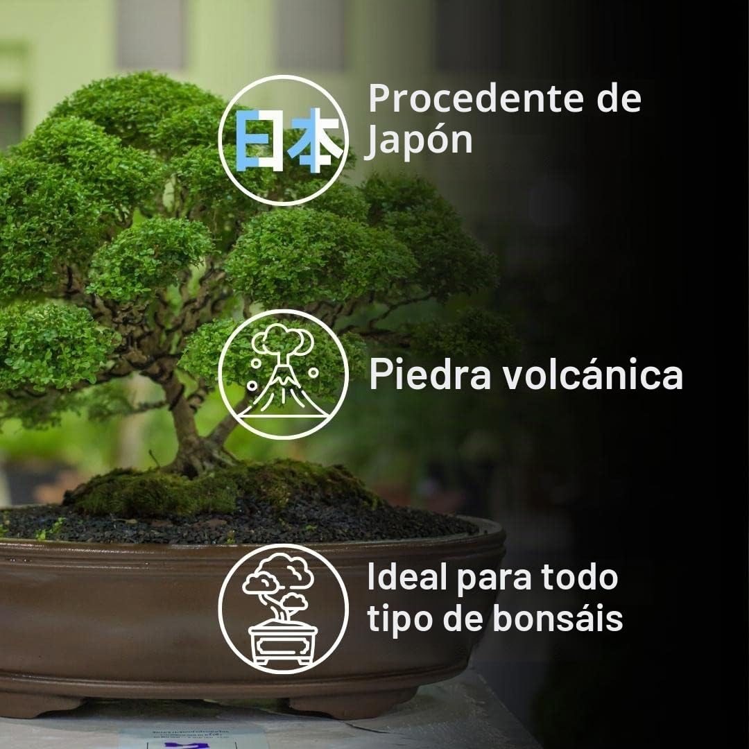 ZOMA Akadama - Granos de bonsái profesionales de 2 a 5 mm, arcilla japonesa para bonsái y suculentas variedades duras, sustrato volcánico, drenaje y antiretorno, 1,5 l