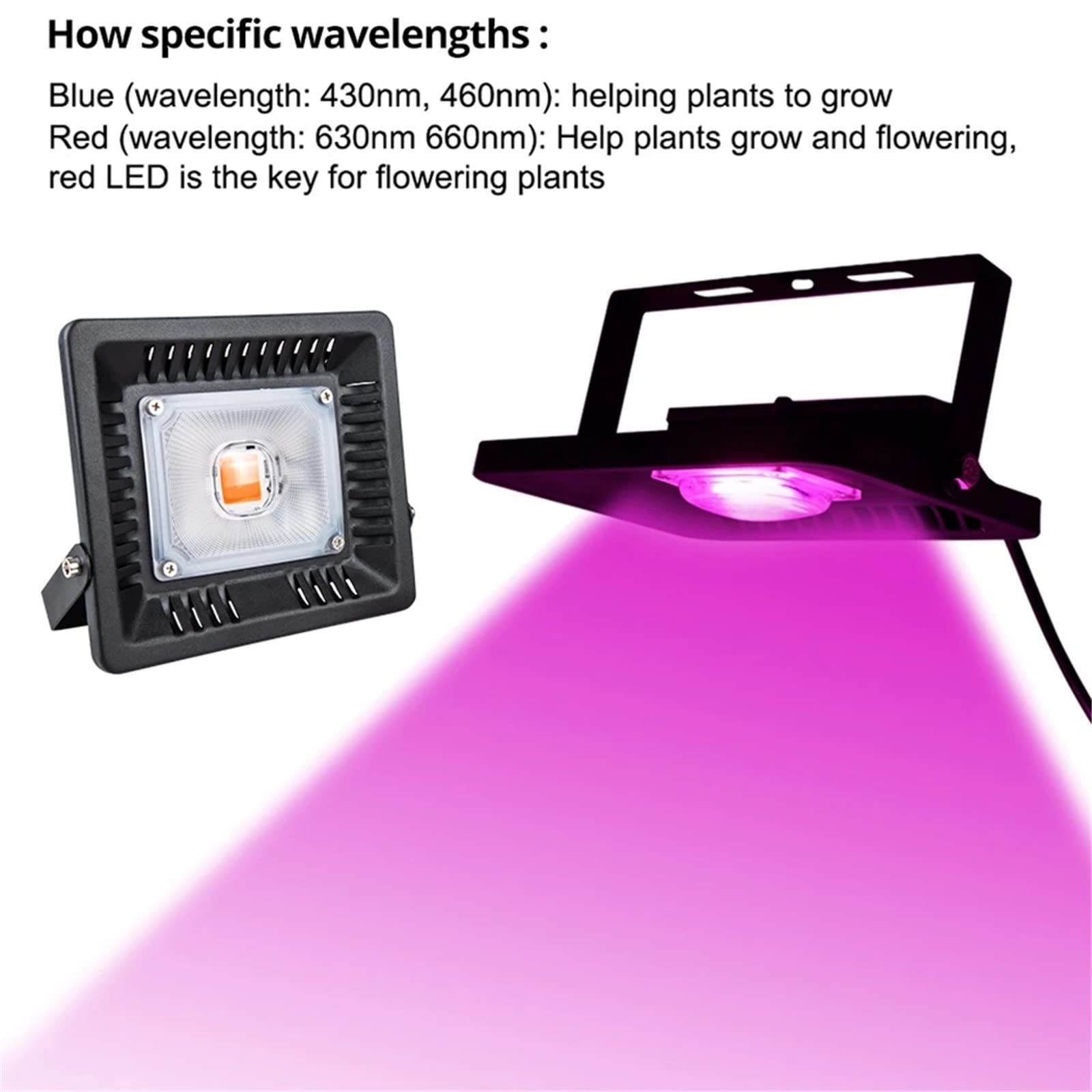 Amazon | 植物グローライト フルスペクトラム 30W COB LED グロー