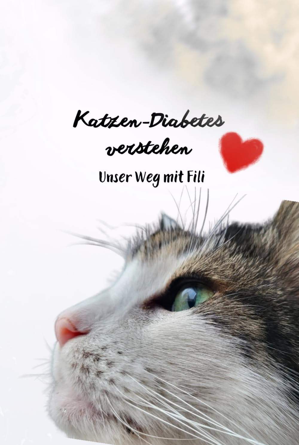 Diabetes bei Katzen: Unser Weg mit Fili