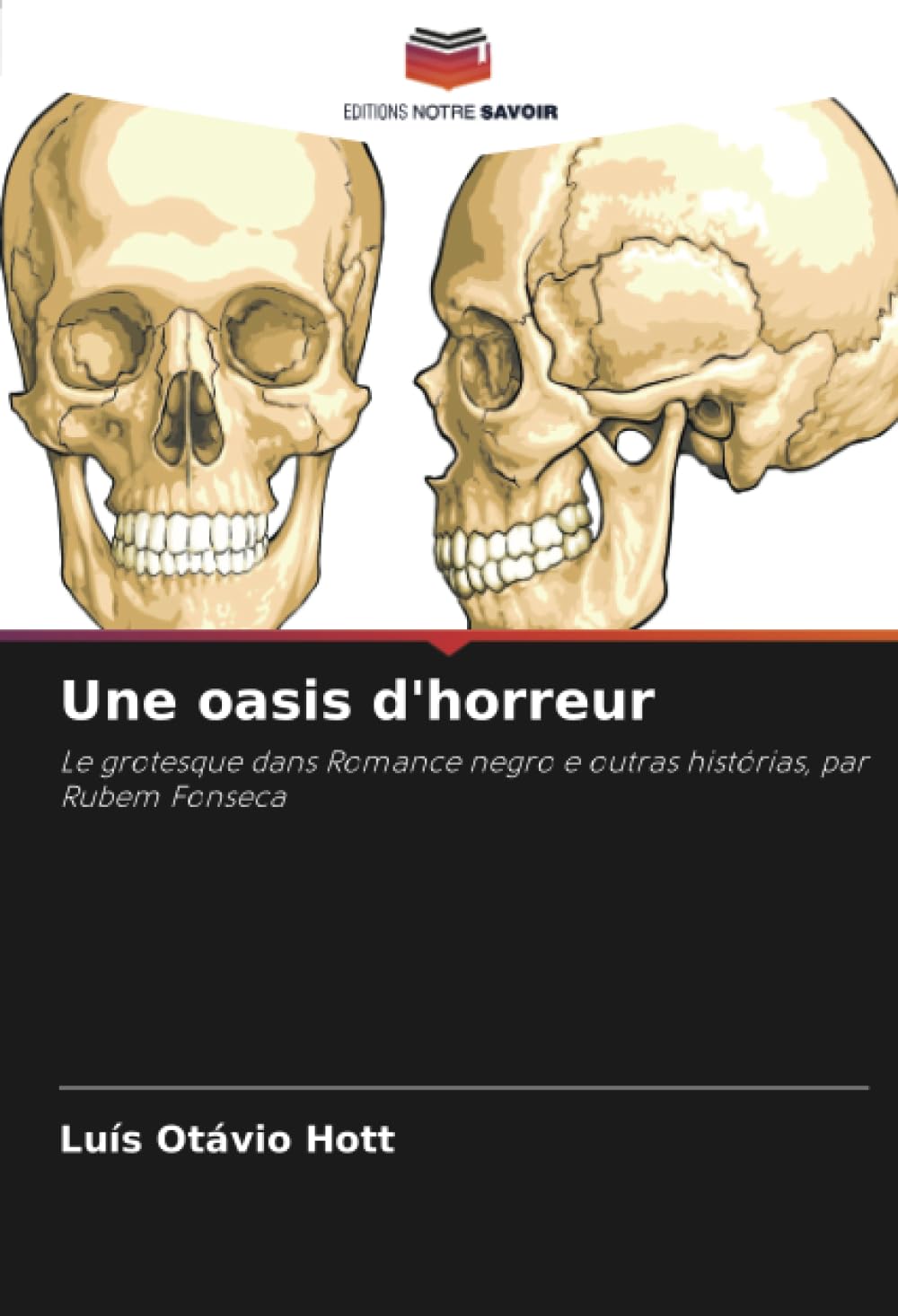 Une oasis d'horreur: Le grotesque dans Romance negro e outras histórias, par Rubem Fonseca