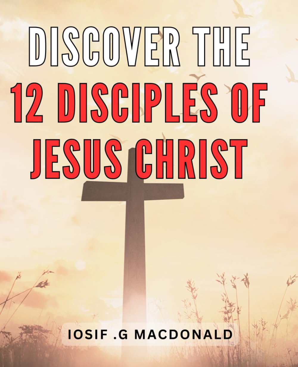 Discover The 12 Disciples Of Jesus Christ: Unveiling the Sacred Twelve: Exploring the Eternal Journey with Jesus' Chosen Apostles.
