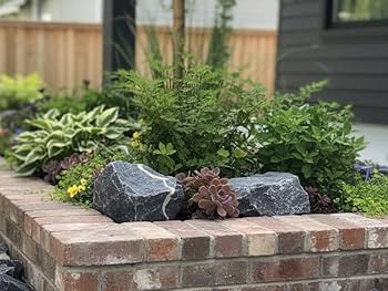 Amazon.co.jp: ロックガーデン 庭石 石 岩 割栗石 黒 ブラック