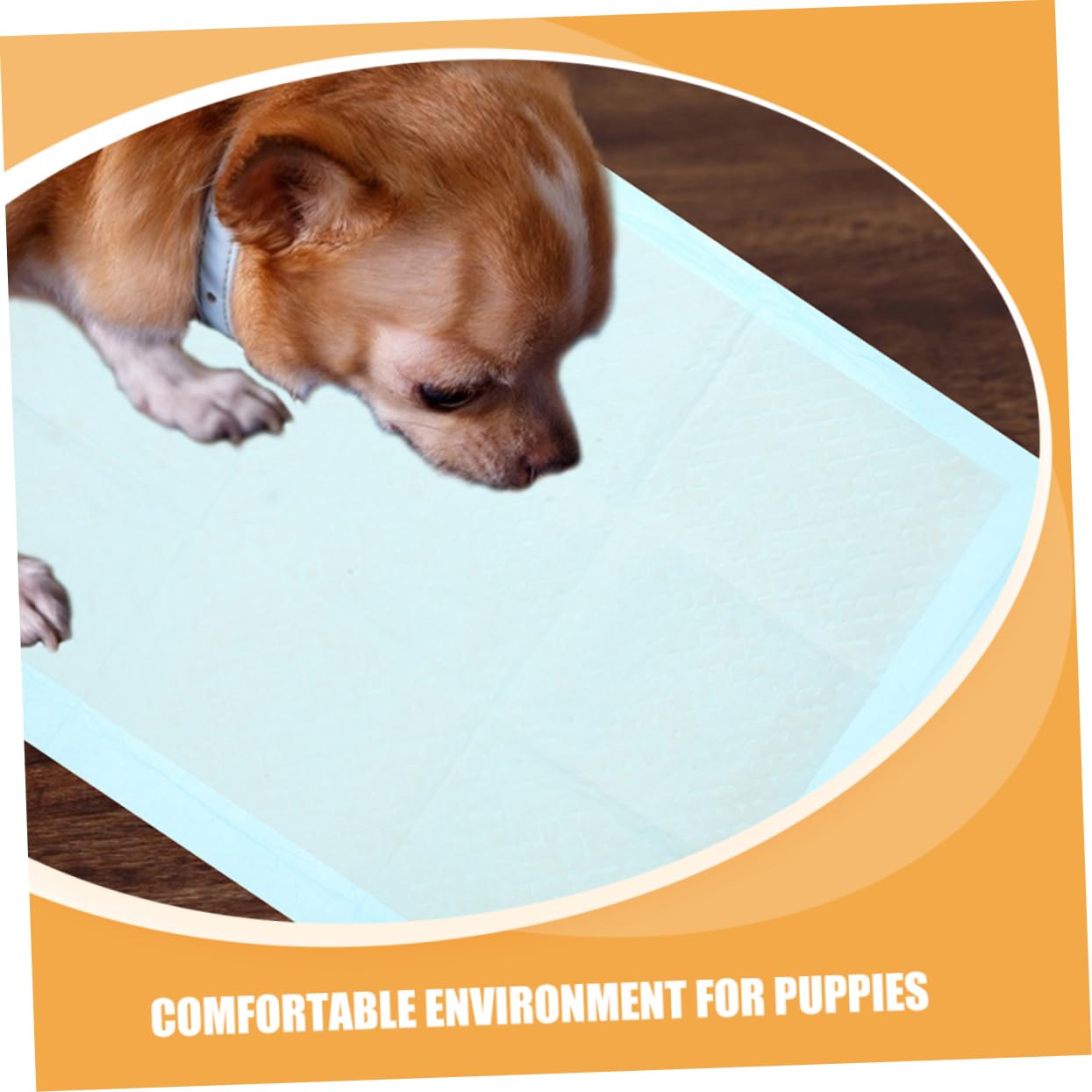 Toyvian 100pezzi Tappetini Assorbenti Per Domestici Traversine Ultra Assorbenti e Impermeabili Per Per Addestramento Indoor e Facile