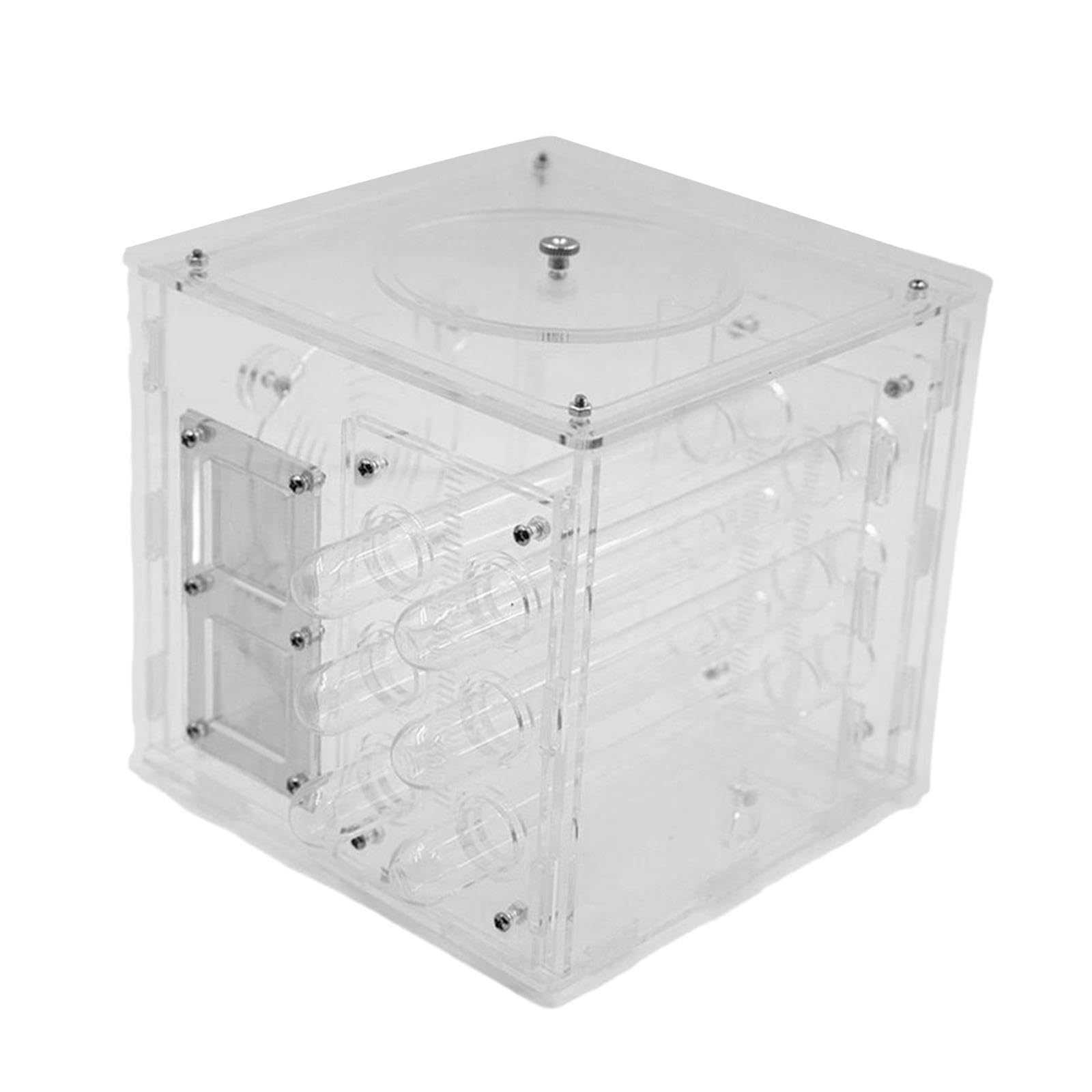 Hormiguero, Vitrina de Acrílico Transparente, Kit de Cumpleaños para, Hábitat Educativo para Adultos en Interiores.